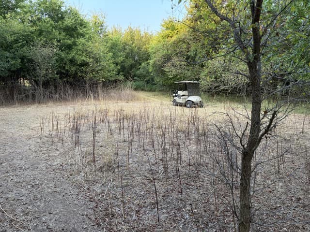 Cleared clearing with browse stripped to standing woody stems, surrounded by dense tree line